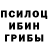 Галлюциногенные грибы мицелий Daehwa Kim