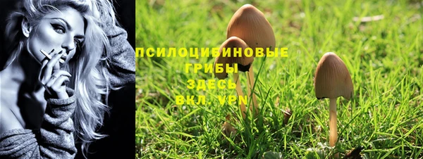 кокаин перу Ладушкин