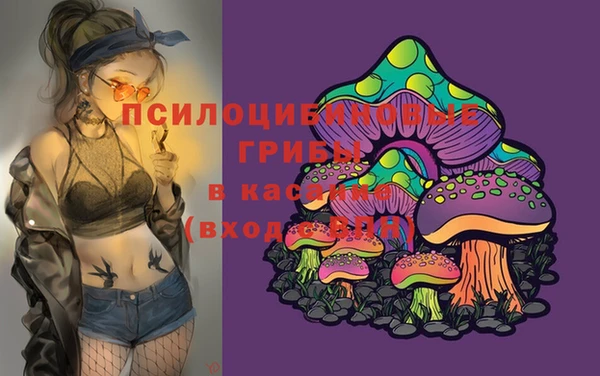 прущий лед Лагань