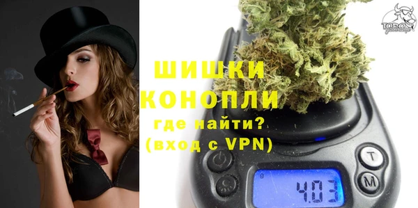 индика Арсеньев