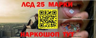 амф Гусев