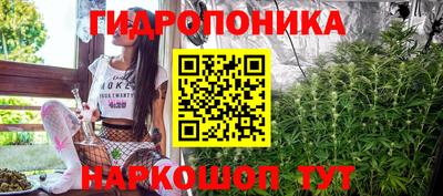 амф Гусев
