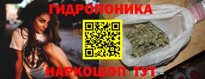 амф Гусев