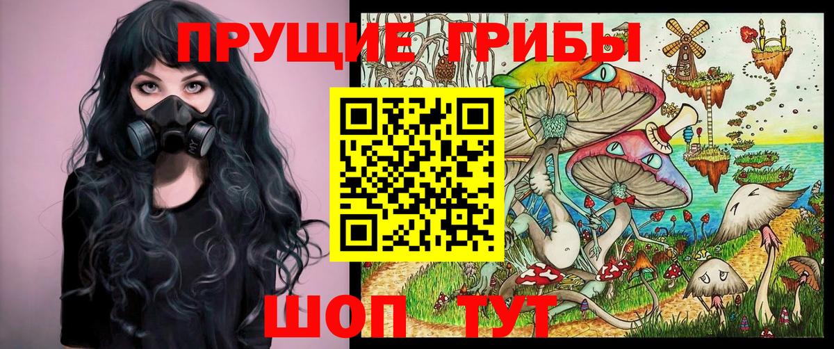 Псилоцибиновые грибы GOLDEN TEACHER  Вход с VPN  Юрга 