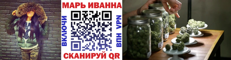 Конопля сатива  Юрга 