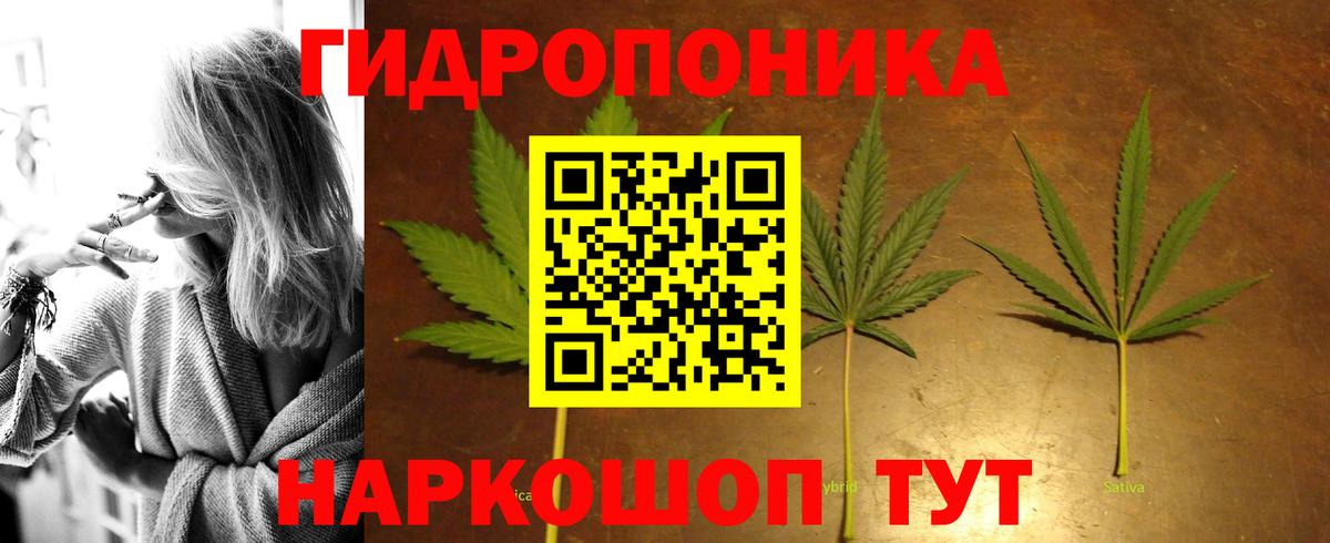 Канабис тримм  Вход с VPN  Марихуана конопля  Бошки Шишки индика  Юрга 